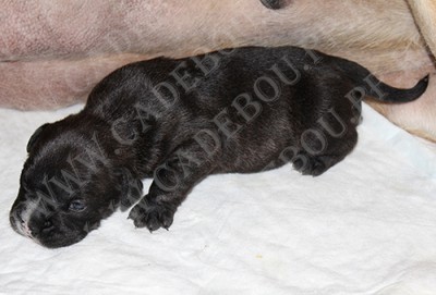 ������, �� �� ��, ����� ���� �������� - ������� ����������, 15 ����