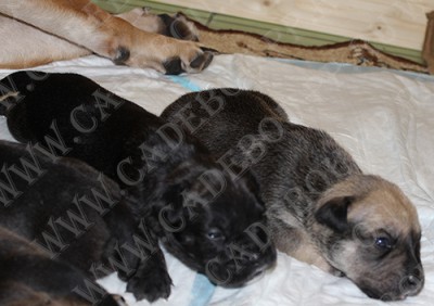 �� �� ��, ������, ����� ���� �������� - ���� � �����, 15 ���� - �������)))