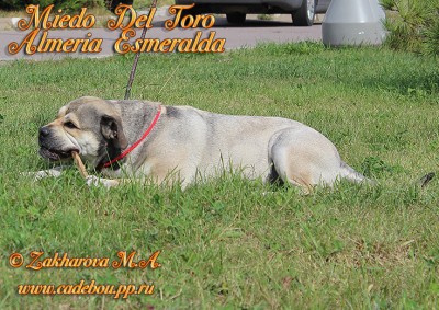 ����� ���� ��������, ������, �� �� �� - �� � ������ � ����� ���� ���� �������� ����������.
��� �  ����, 5 ���. ������ 2014. ��. ������� ��������� � �����