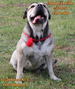 �� �� ��, ������, ����� ���� �������� - �� � ������ � ��� (����� ���� ���� �������� ����������).
��� �������� ��� �������, 5 ���. ������ 2014. ��. ������� ��������� � �����