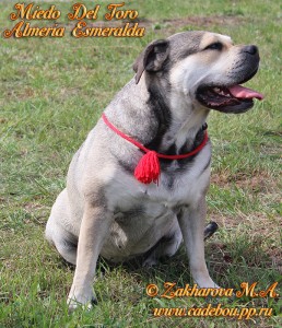 ������, ����� ���� ��������, �� �� �� - �� � ������ � ��� (����� ���� ���� �������� ����������).
������ 2014. ��. ������� ��������� � �����