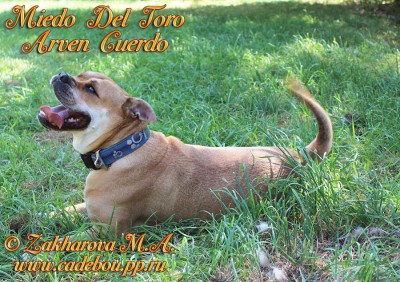 ������, ����� ���� ��������, �� �� �� - ������ �������. �� � ������ � ������, 5 ���. ����� ���� 2014.