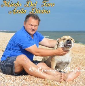 �� �� ��, ������, ����� ���� �������� - ������ �� ����, ���� 2013. ��. ������ ����� � ������