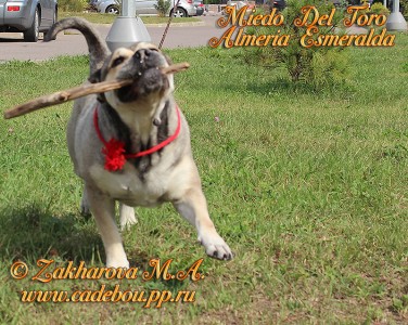 ����� ���� ��������, ������, �� �� �� - �� � ������ � ��� (����� ���� ���� �������� ����������).
��� �  ����))), 5 ���. ������ 2014. ��. ������� ��������� � �����