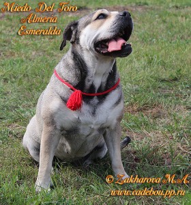 ����� ���� ��������, ������, �� �� �� - �� � ������ � ����� ���� ���� �������� ����������.
��� ��������, 5 ���. ������ 2014. ��. ������� ��������� � �����