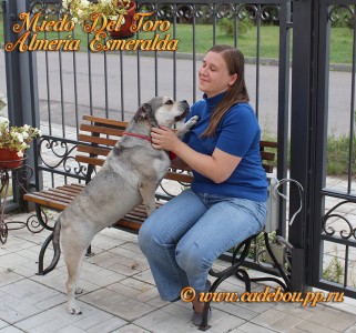 ������, �� �� ��, ����� ���� �������� - �� � ������ � ��� (����� ���� ���� �������� ����������).
��� ����� ������, 5 ���. ������ 2014. ��. ������� ��������� � �����