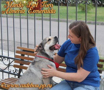 ����� ���� ��������, �� �� ��, ������ - �� � ������ � ����� ���� ���� �������� ����������.
��� ����� ����������, 5 ���. ������ 2014. ��. ������� ��������� � �����