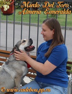 �� �� ��, ������, ����� ���� �������� - ���  (����� ���� ���� �������� ����������) ������ � �������, 5 ���. ������ 2014. ��. ������� ��������� � �����.