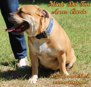 ������, �� �� ��, ����� ���� �������� - ������� ��� �������. � ������ � ������.  ������� 5 ���. ����� ���� 2014.