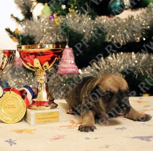 �� �� ��, ����� ���� ��������, ������ - �����, 2 ��������. 1-� ����������