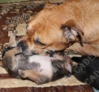 ����� ���� ��������, ������, �� �� �� - ���� � �����, 19 ����