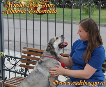 ����� ���� ��������, �� �� ��, ������ - ��� ����� ����������, 5 ���. ������ 2014. ��. ������� ��������� � �����. �� � ������ � ��� (����� ���� ���� �������� ����������).