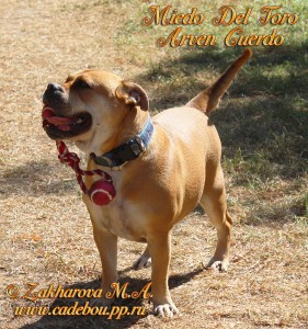 ������, ����� ���� ��������, �� �� �� - � ������ � ������.  ������� 5 ���. � �������� �� ���������))) ����� ���� 2014.