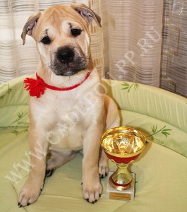 �� �� ��, ����� ���� ��������, ������ - ������ �� ����� (�����), 3 ������