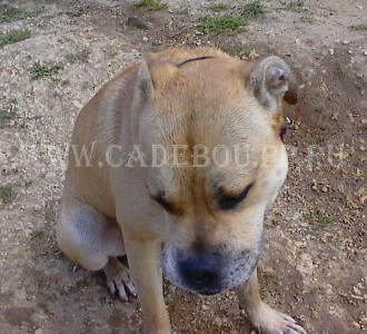 ����� ���� ��������, �� �� ��, ������ - �������� �, ��� ��������. 25 ������� � ��������.