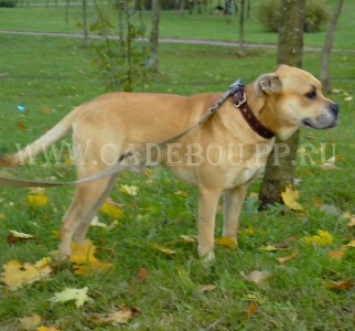 �� �� ��, ����� ���� ��������, ������ - � ��� �������� ������! �������� ���� - ��������! 9 �������