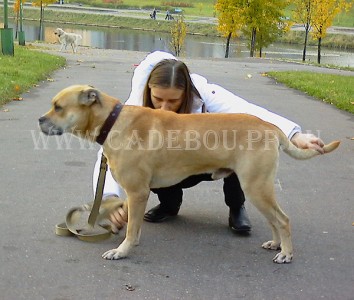 ����� ���� ��������, �� �� ��, ������ - ���������� �� ��������, � ���� ���������! ��������� �! 9 �������