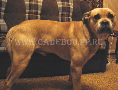 ������, �� �� ��, ����� ���� �������� - ����. 31-10-2004