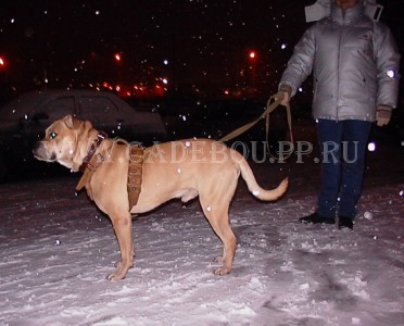 ����� ���� ��������, ������, �� �� �� - � � ��������! 28 �������