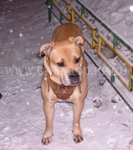 ������, �� �� ��, ����� ���� �������� - ���� ������. 28 �������