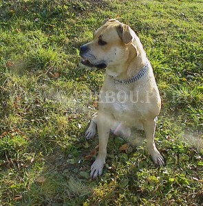 ����� ���� ��������, �� �� ��, ������ - �� �������� � ��������. 30 ��������