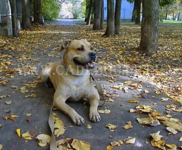 ������, �� �� ��, ����� ���� �������� - �� �������� � ��������. 30 ��������