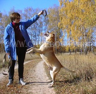 ка де бо Улис на прогулке в Солнцево 30 сентября 2005