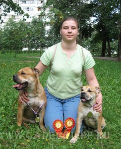 ка де бо, перро дого майоркин, кадебо - Ежевика с Гавиотой. 26 Августа ка де бо, перро дого майоркин, кадебо - Ежевика с Гавиотой. 26 Августа