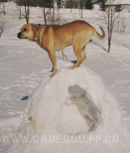 ������, ����� ���� ��������, �� �� �� - ����� �� ��������.))) 1 ������� 2006