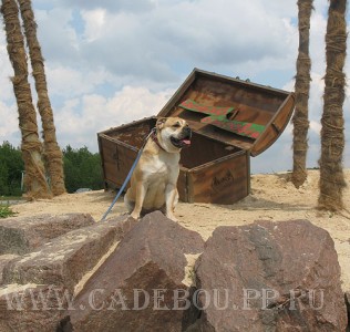 ����� ���� ��������, ������, �� �� �� - ������� - ������ �� ������� ��������! 18 ��� 2008