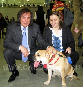 ca de bou, perro dogo mallorquin, cadebou -     -   ,  2009