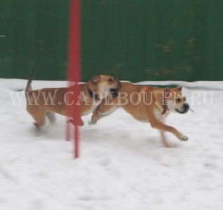 �� �� ��, ������, ����� ���� �������� - ����� � ������ � ����, ��������. 10 ������� 2009