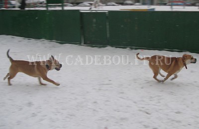 ����� ���� ��������, ������, �� �� �� - ����� � ������ � ����, ��������. 10 ������� 2009