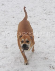 �� �� ��, ����� ���� ��������, ������ - ����, ��������. 10 ������� 2009