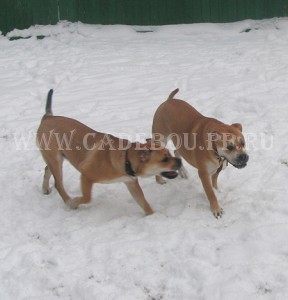 ������, ����� ���� ��������, �� �� �� - ����� � ������ � ����, ��������. 10 ������� 2009