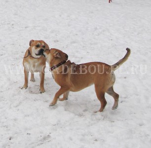 �� �� ��, ������, ����� ���� �������� - ����� � ������ � ����, ��������. 10 ������� 2009