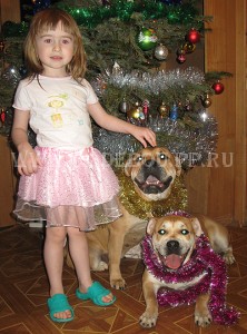 ,   ,    -   .   2009