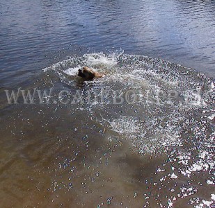 ����� ���� ��������, ������, �� �� �� - ������ �� 100 ������! 25 ������� � ��������