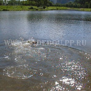 �� �� ��, ����� ���� ��������, ������ - � ����� ������! 25 ������� � ��������