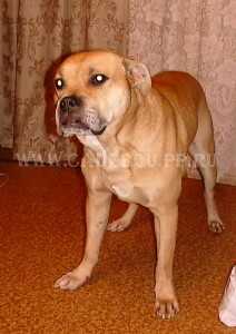 ������, ����� ���� ��������, �� �� �� - ����. 31-10-2004