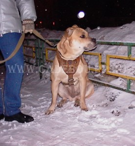 ����� ���� ��������, ������, �� �� �� - � � ��������! 28 �������