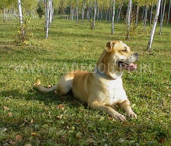 ����� ���� ��������, ������, �� �� �� - �� �������� � ��������. 30 ��������