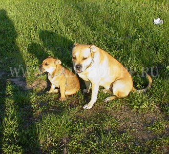 ������, ����� ���� ��������, �� �� �� - ���������� ������� ������! 18 ���