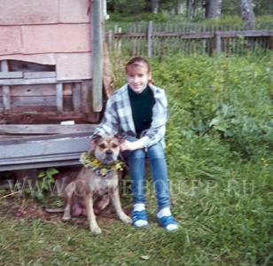 cadebou, perro dogo mallorquin, ca de bou -       .      .   2000.