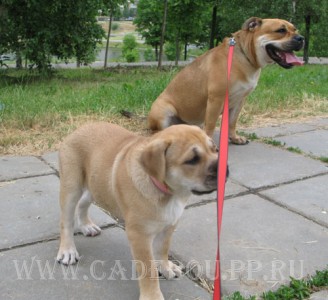 �� �� ��, ����� ���� ��������, ������ - ������ ��������� �� �������.))) 18-06-2007