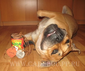 ������, �� �� ��, ����� ���� �������� - ������� (����), � �������� ���� �� ��������,  19-09-2007