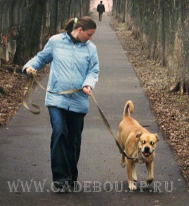 �� �� ��, ������, ����� ���� �������� - ����� ������ ����� � �����. 21 ������ 2006