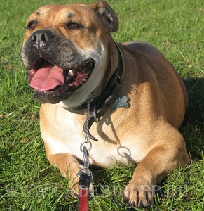 �� �� ��, ����� ���� ��������, ������ - �������  - �������! 25 ������ 2008