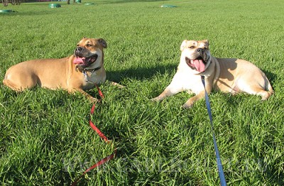 ����� ���� ��������, �� �� ��, ������ - ������� � ����. 25 ������ 2008