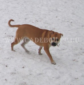 ����� ���� ��������, ������, �� �� �� - ����, ��������. 10 ������� 2009